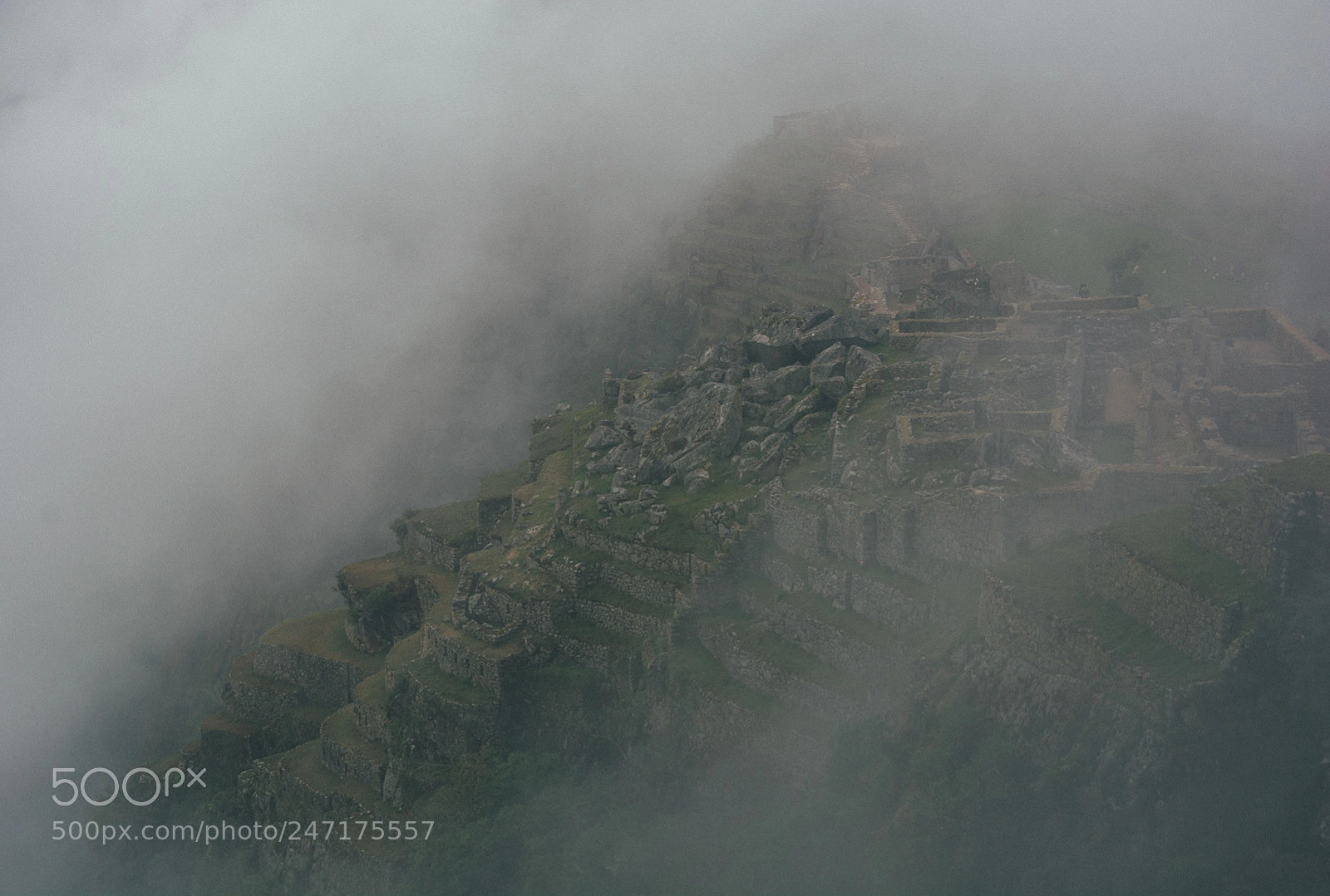 Nikon D7100 sample photo. Shrouded in mystery photography