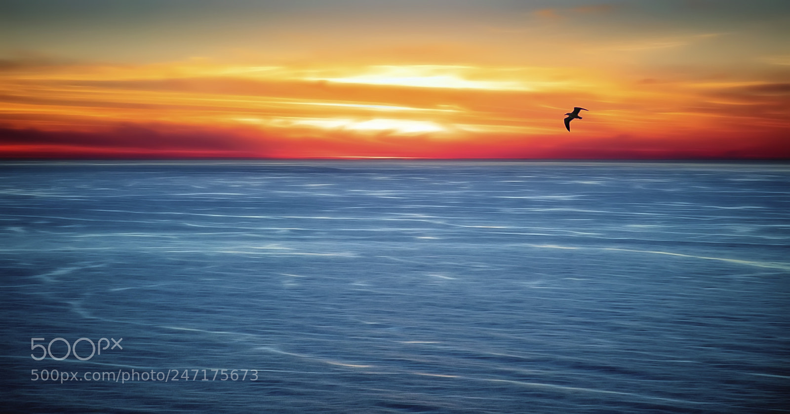 Canon EOS 5DS R sample photo. Pacific dream photography