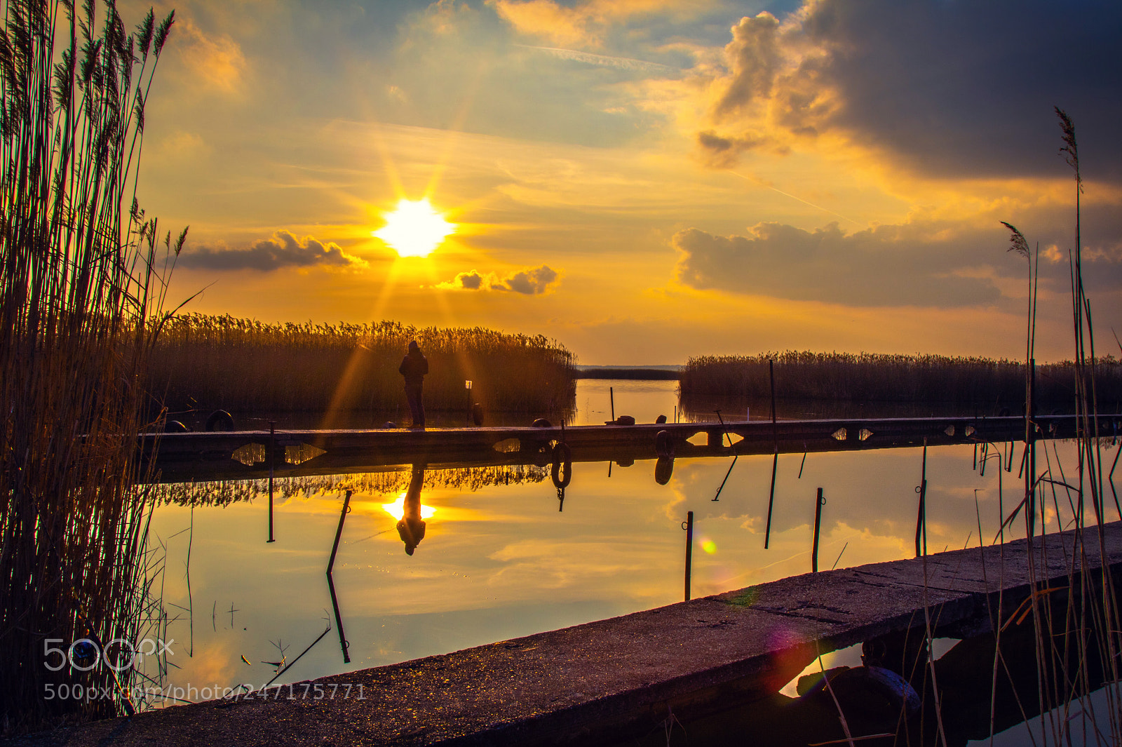 Canon EOS 750D (EOS Rebel T6i / EOS Kiss X8i) sample photo. The fisherman photography