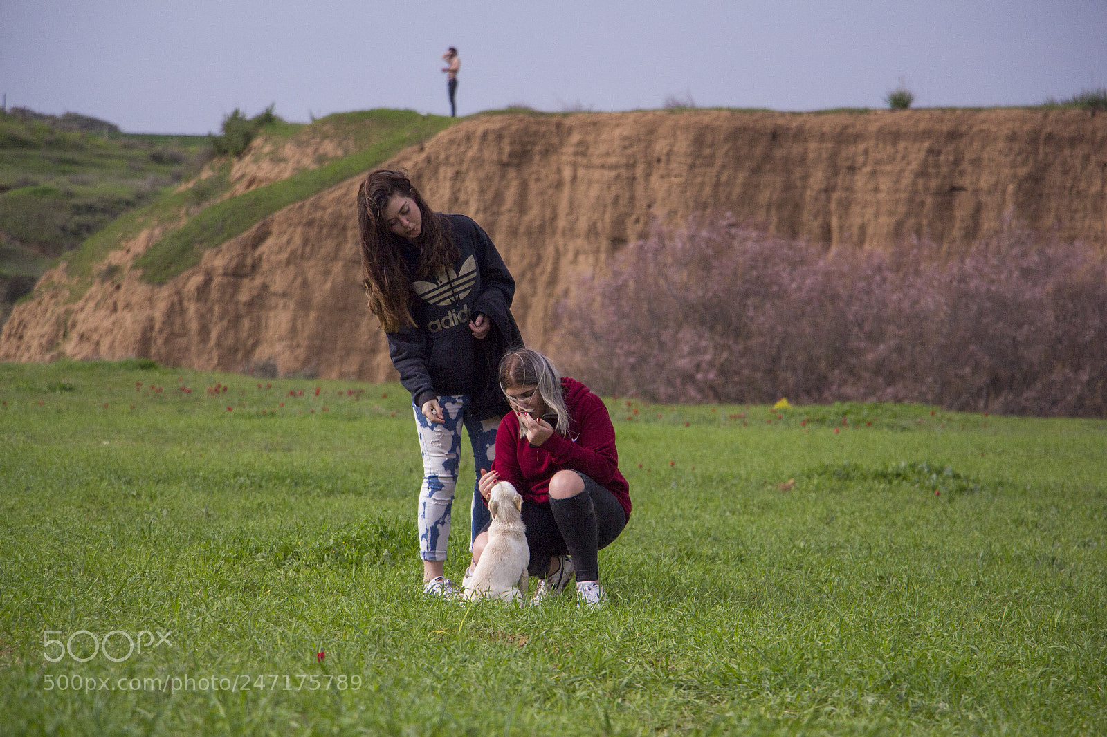 Canon EOS 700D (EOS Rebel T5i / EOS Kiss X7i) sample photo. Two girls playing with photography