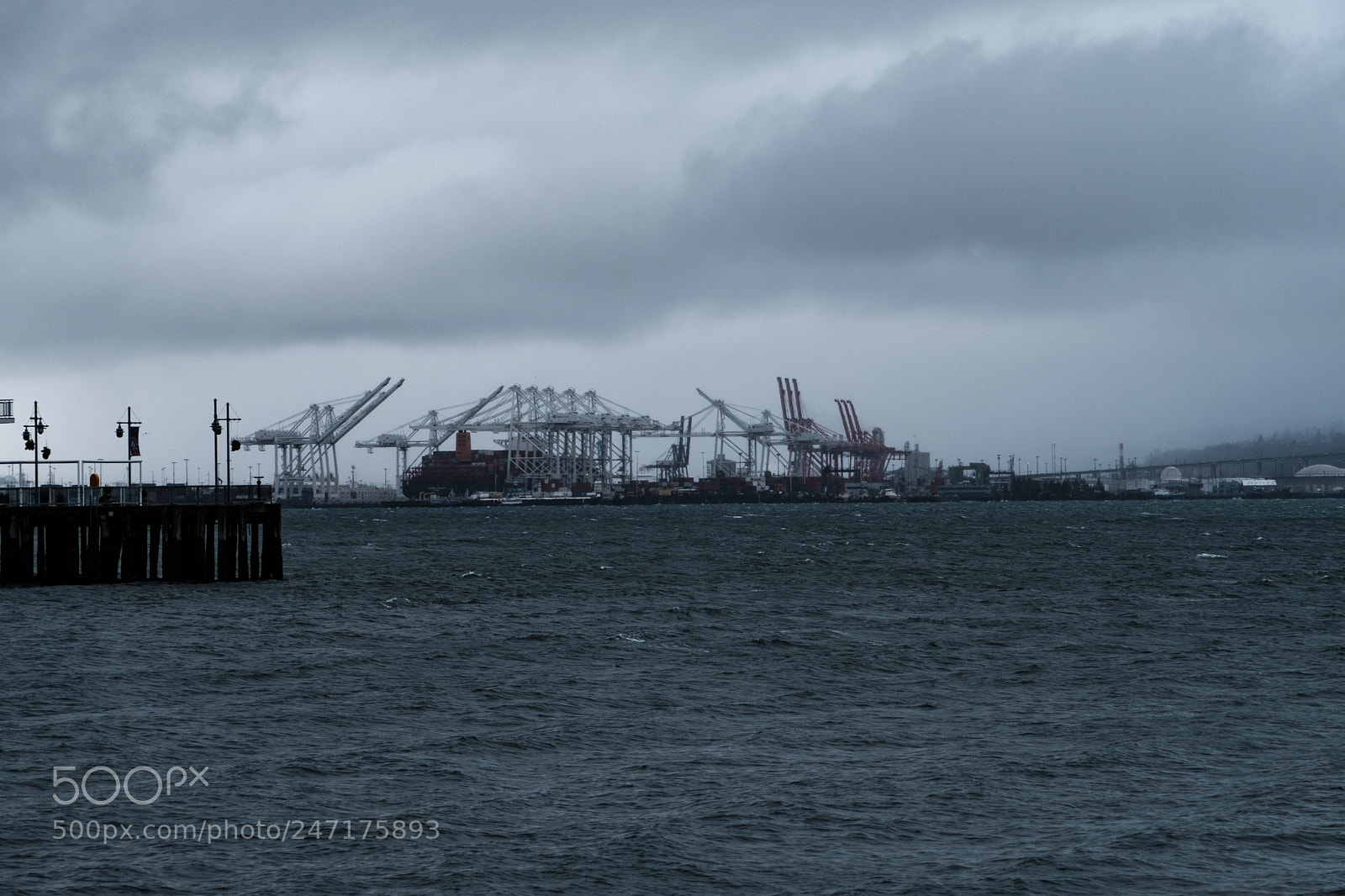 Fujifilm X-T2 sample photo. Shades of winter photography