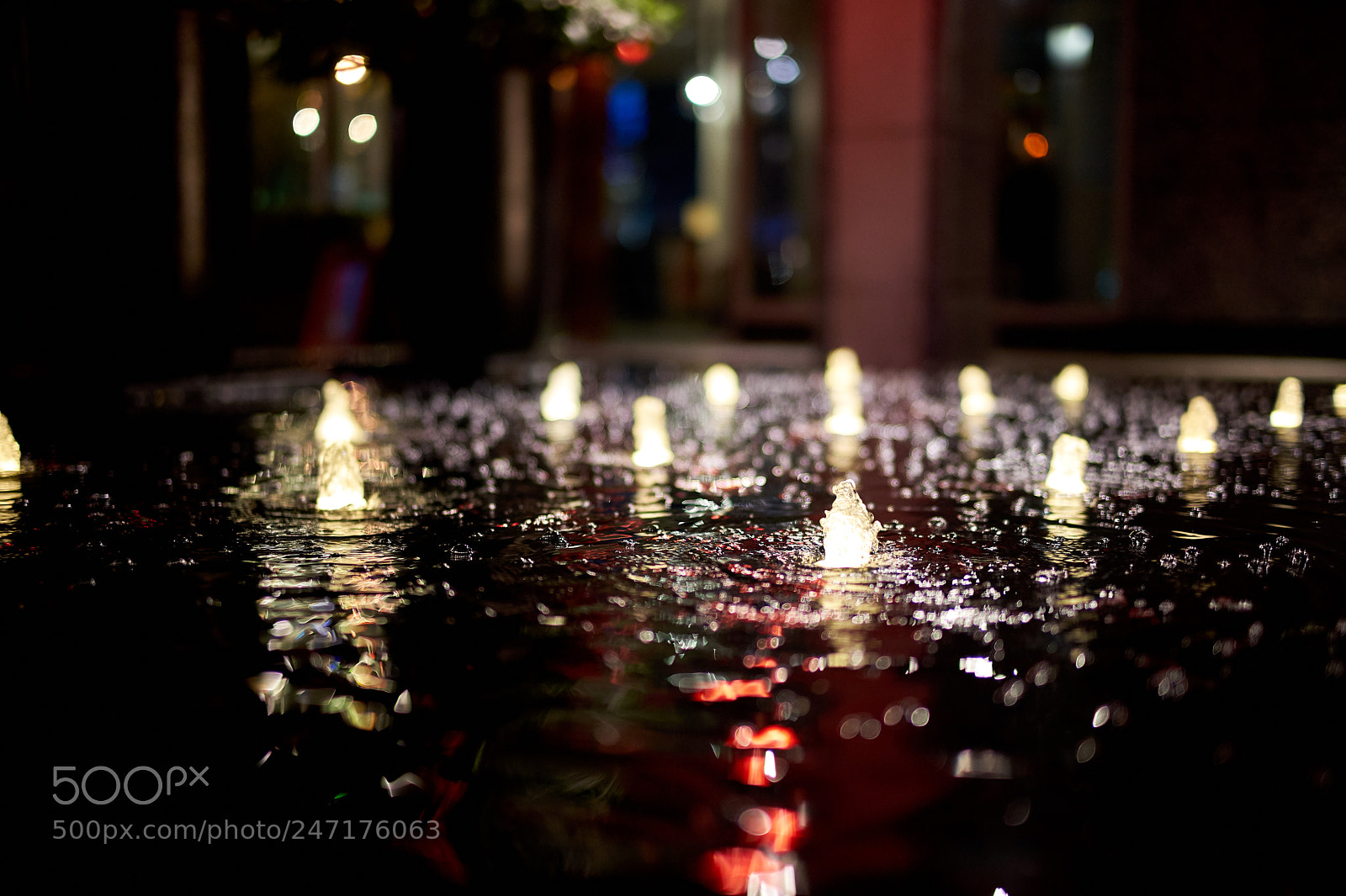 Sony a7 II sample photo. Sav photography