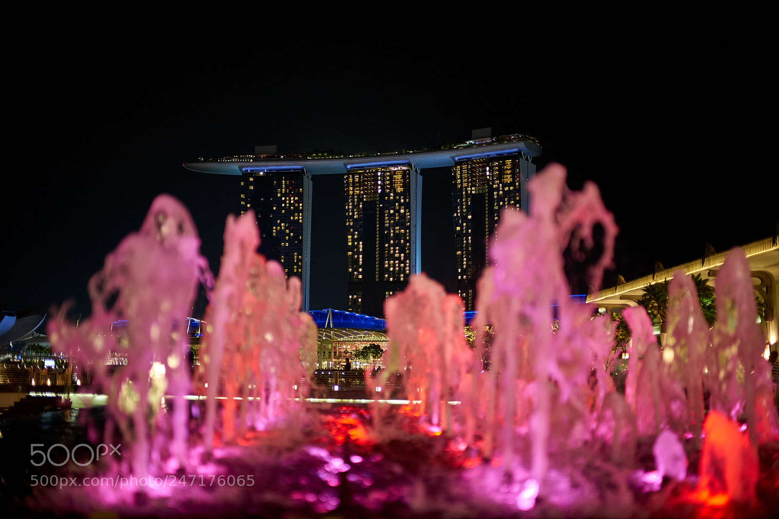 Sony a7 II sample photo. Sav photography