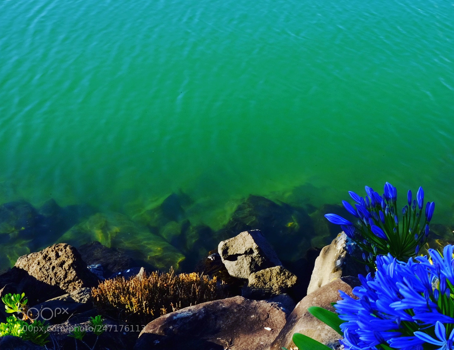 Fujifilm X-T10 sample photo. Img photography