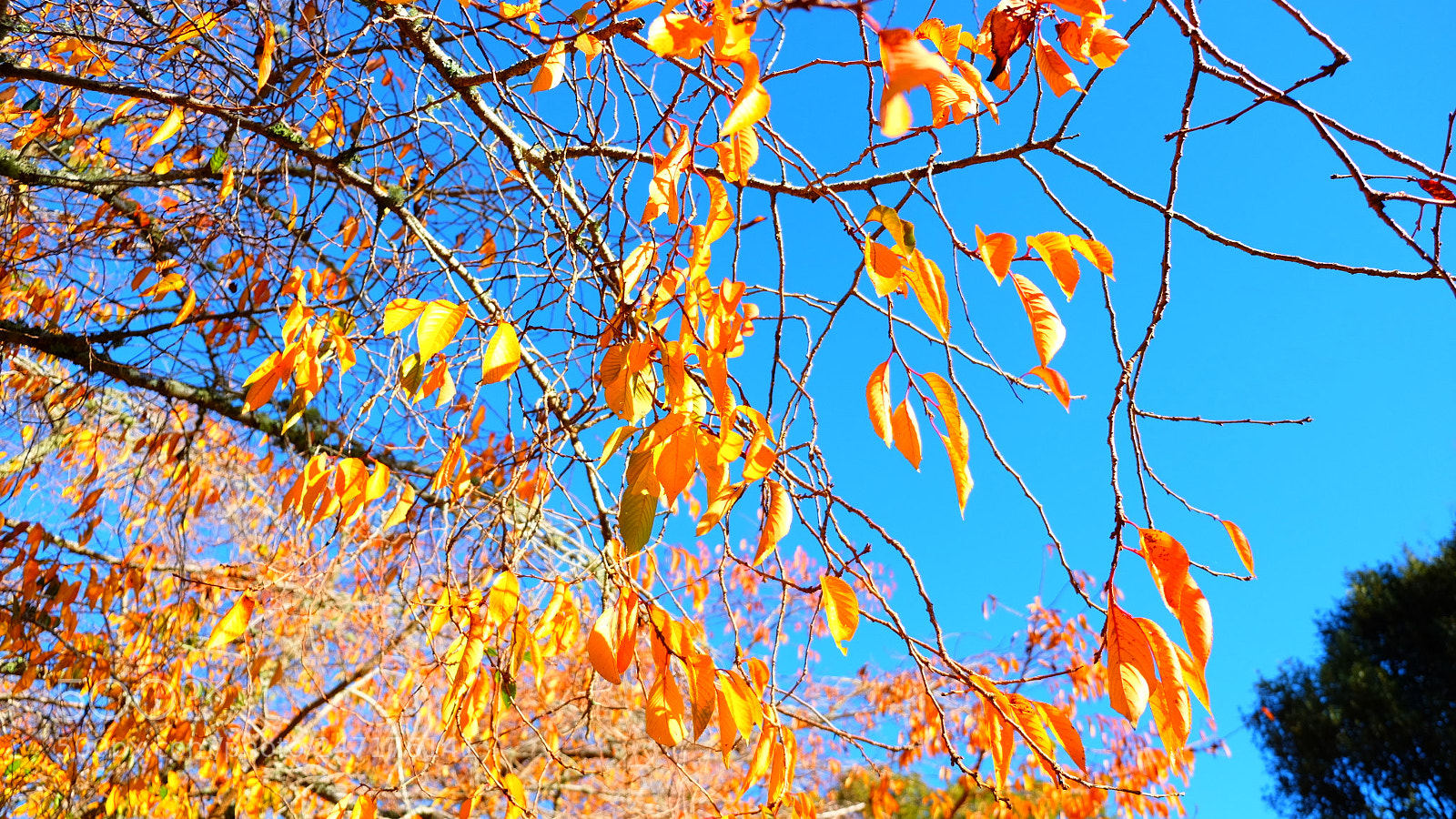 Fujifilm X-T10 sample photo. Img photography