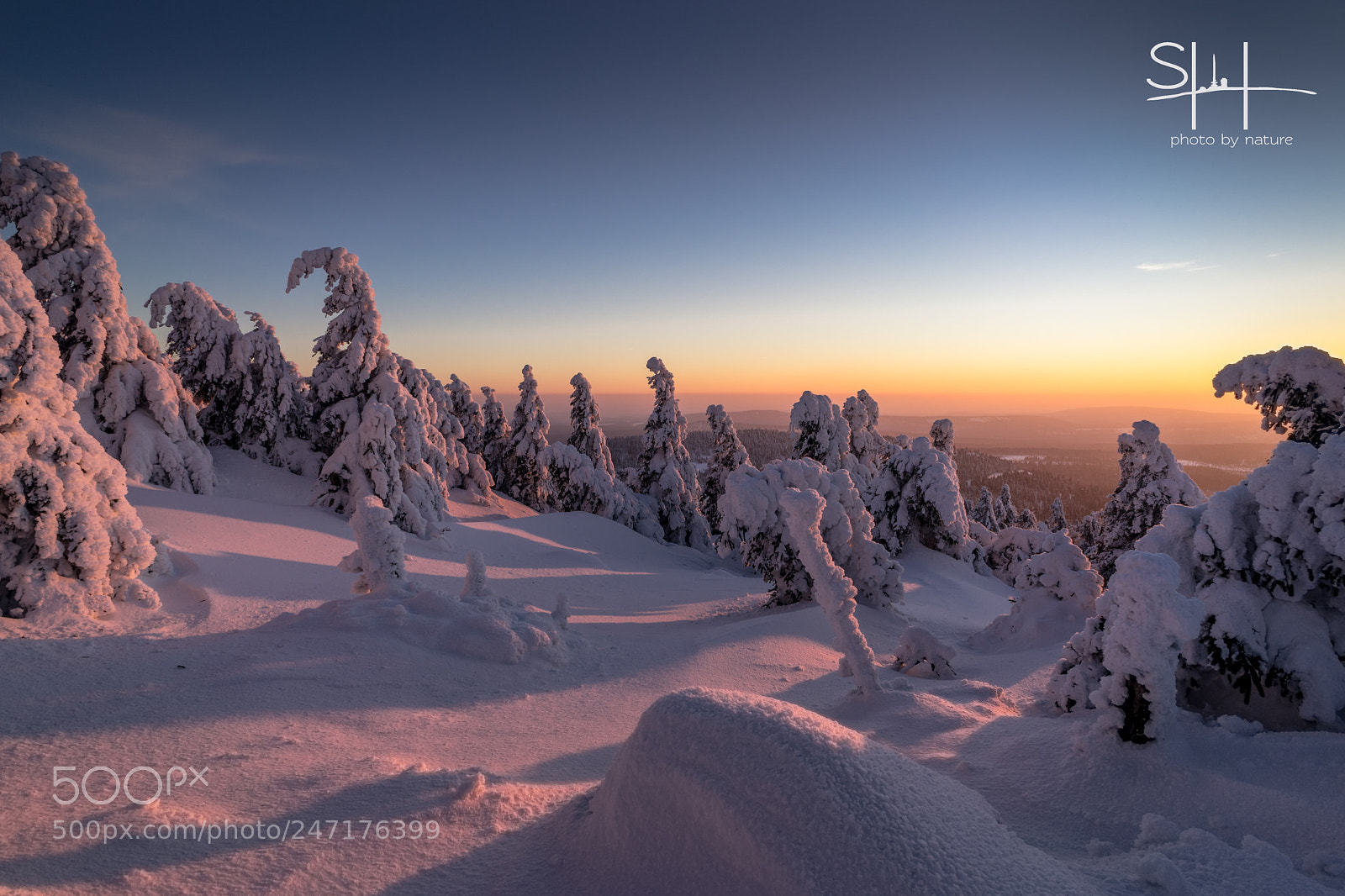 Sony a7 sample photo. Winterzauber im harz photography