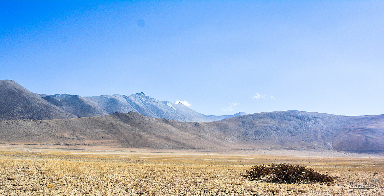 Nikon D5200 sample photo. Wildgrassland!! photography