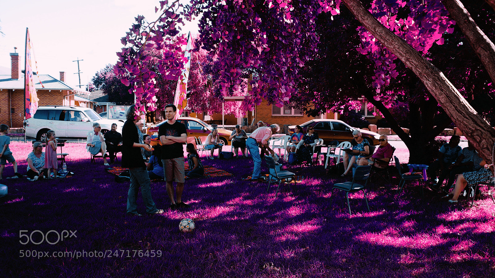 Sony Alpha a3500 sample photo. Pink picnic photography