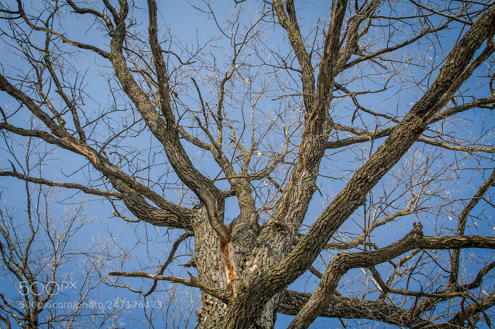 Canon EOS 7D sample photo. Into the sky photography