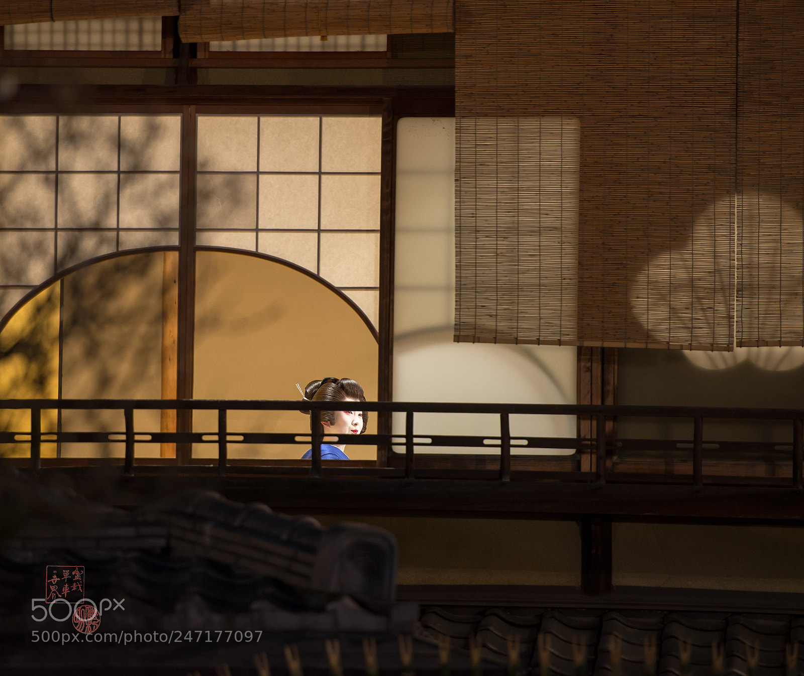 Nikon D610 sample photo. Geisha photography