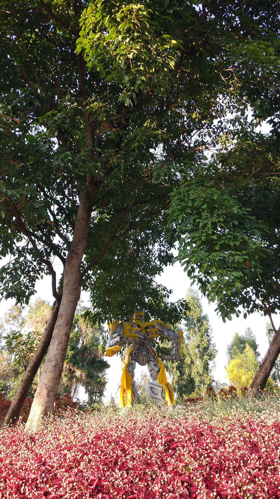 Xiaomi MI 5 sample photo. Untitled photography