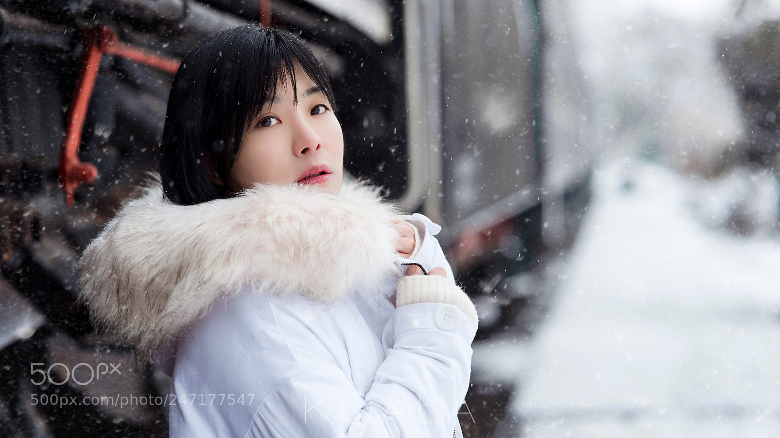 Nikon D810 sample photo. 雪 photography