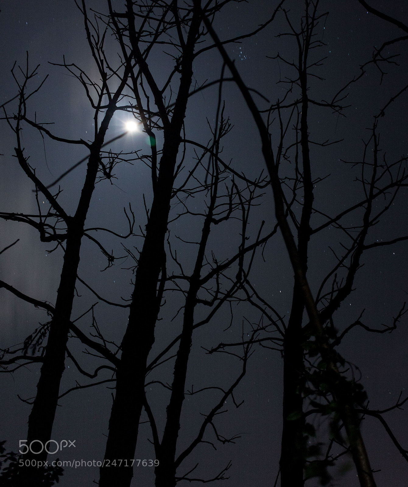 Canon EOS 700D (EOS Rebel T5i / EOS Kiss X7i) sample photo. Night photography