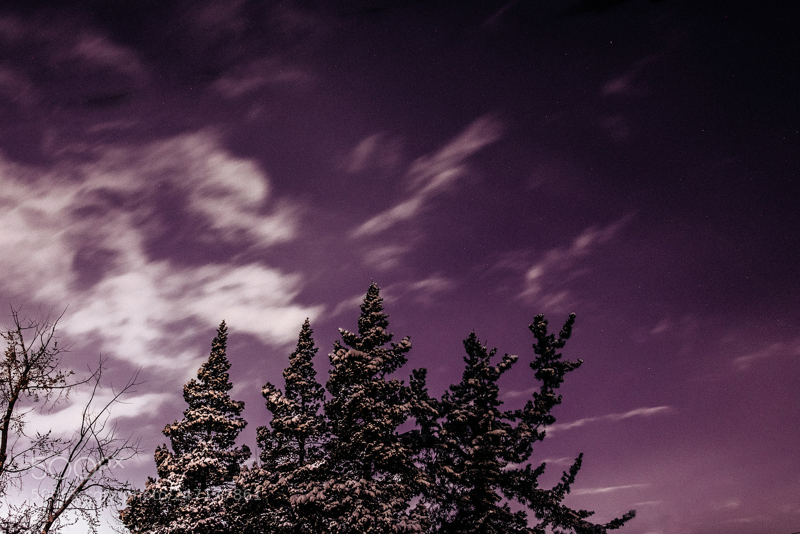 Fujifilm X-Pro2 sample photo. Purple skies photography