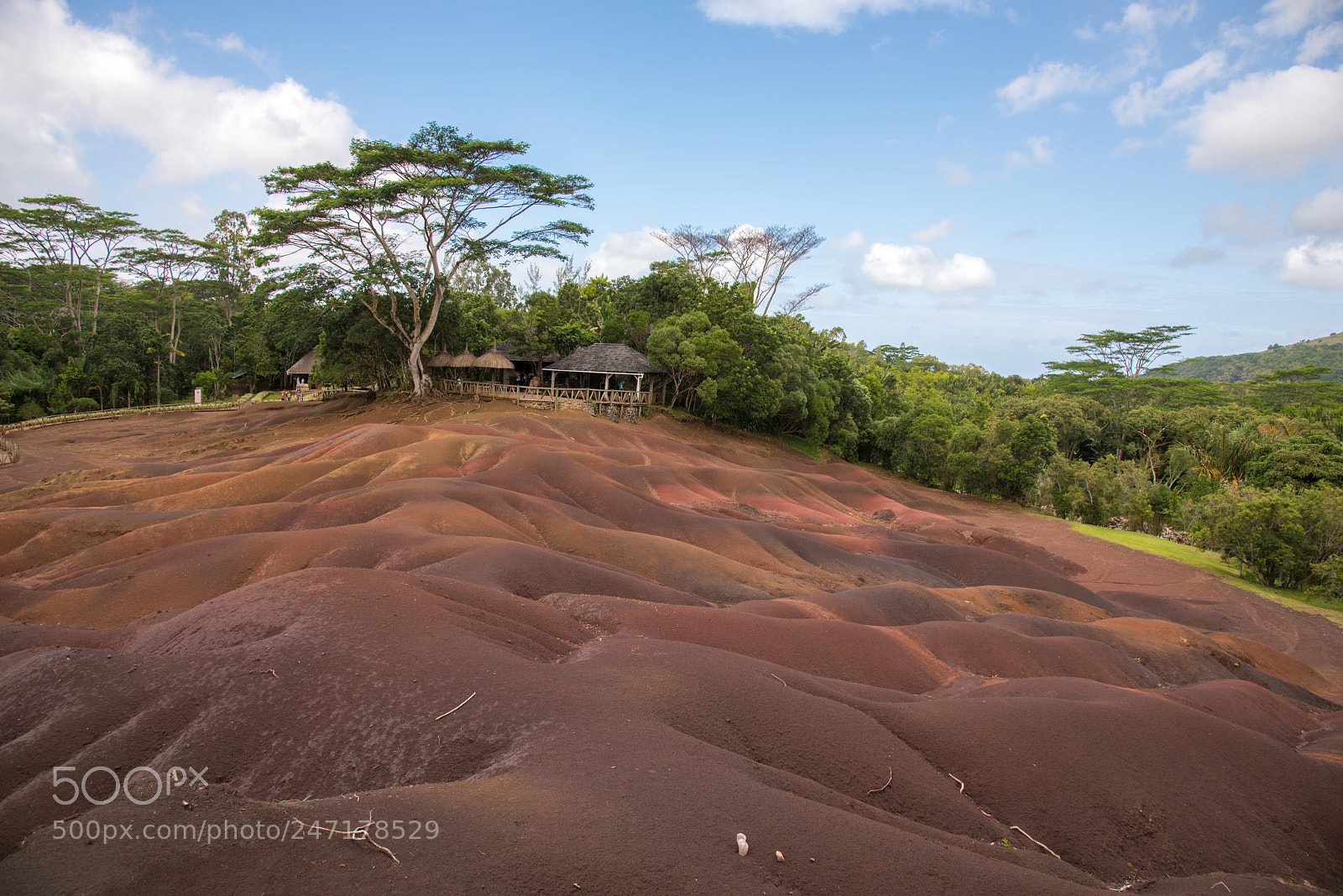 Nikon D810 sample photo. Seven colors photography