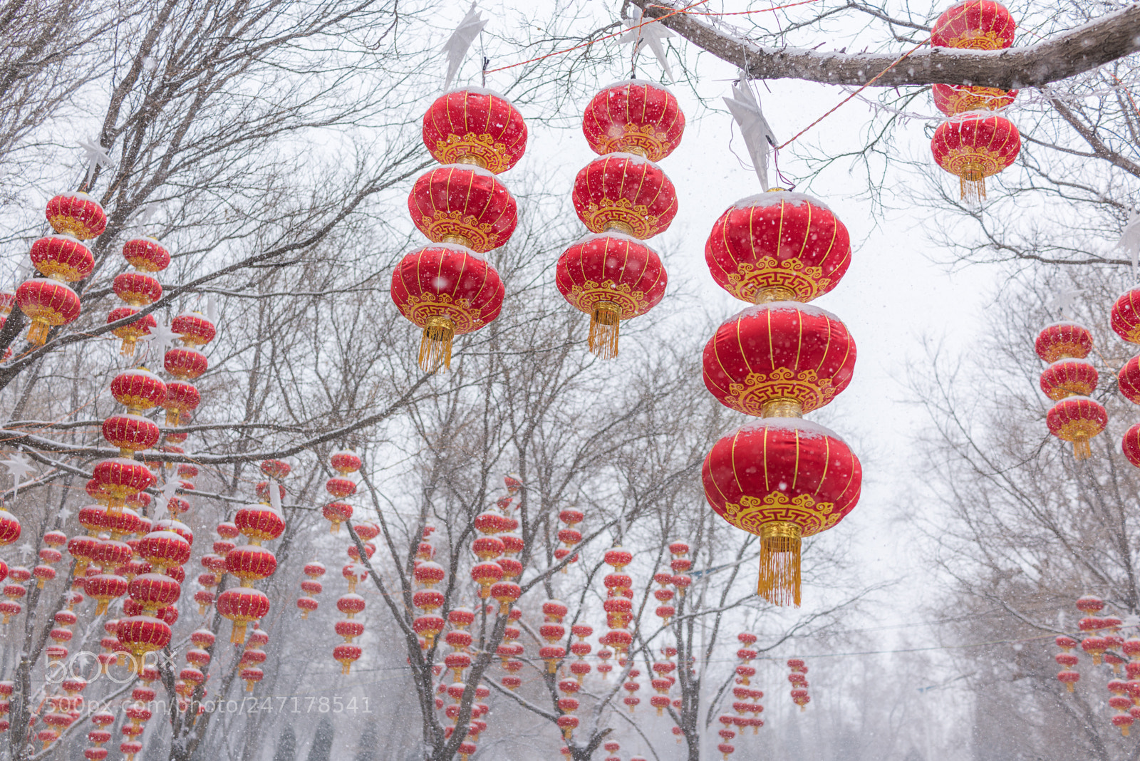 Sony Cyber-shot DSC-RX1R II sample photo. Chinese new year photography
