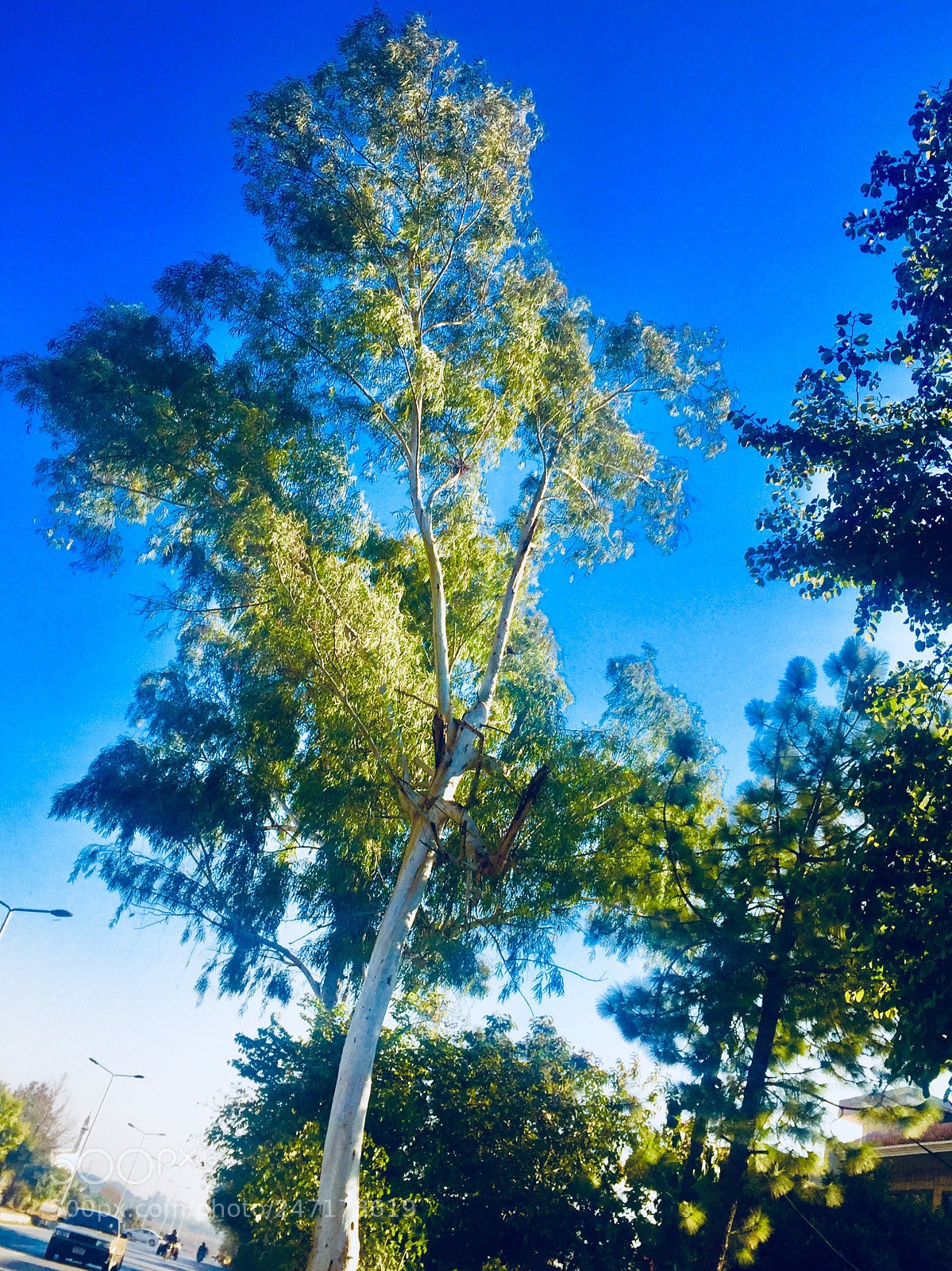 Apple iPhone 6 sample photo. Untitled photography