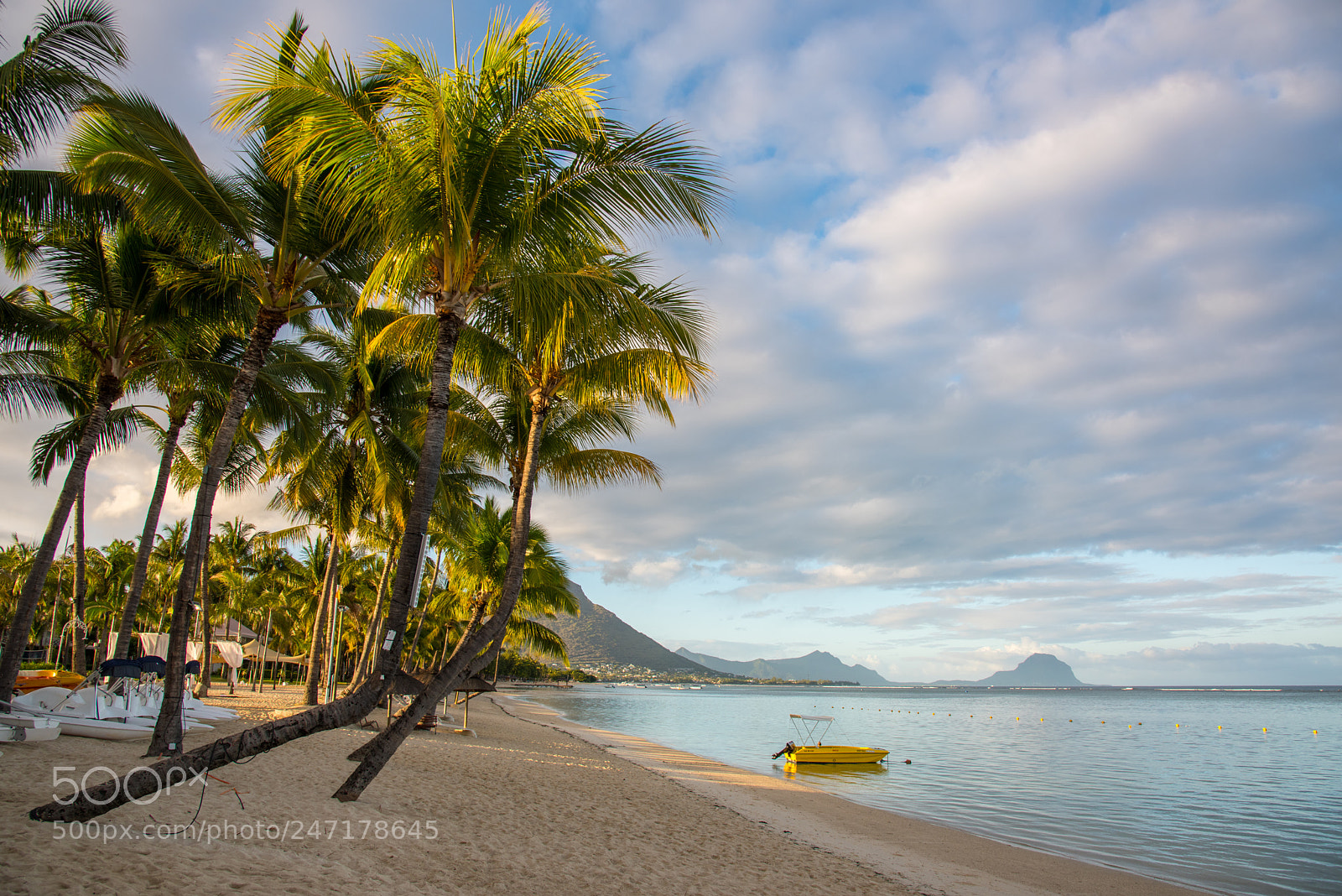 Nikon D810 sample photo. Mauritius photography