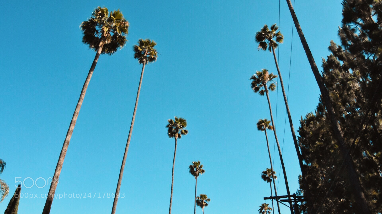 Nikon D7200 sample photo. L.a photography