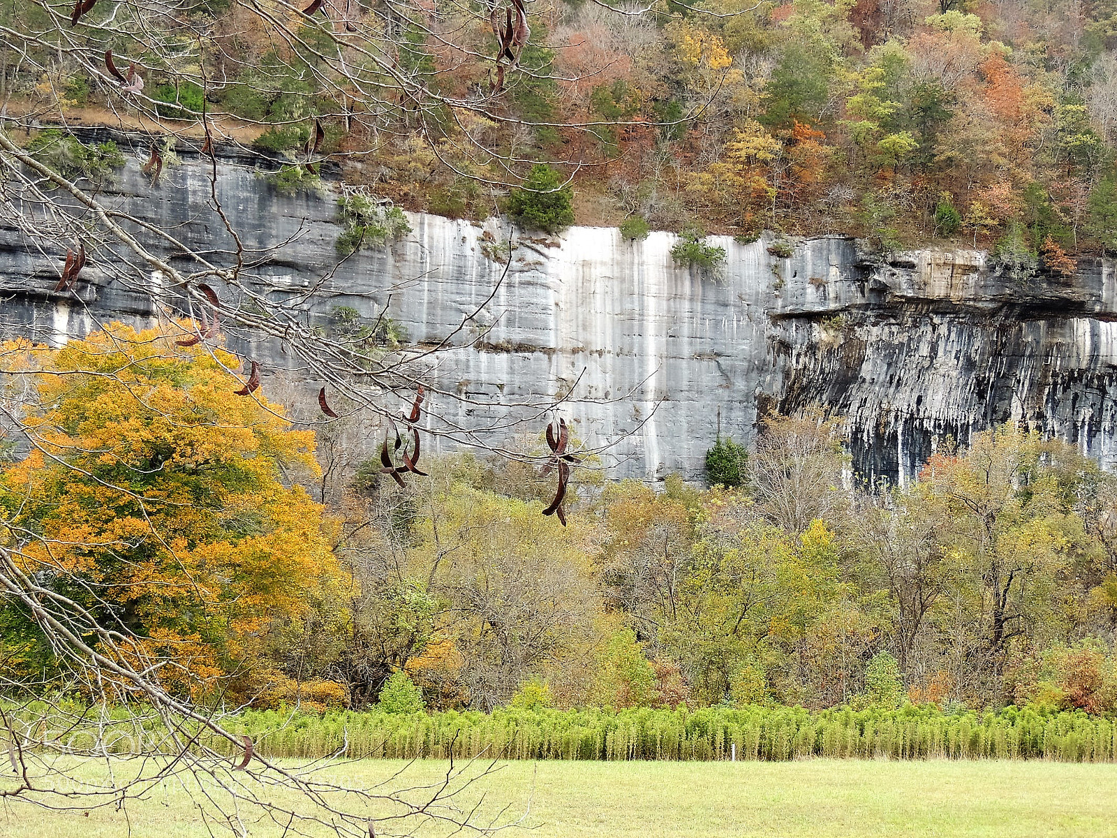 Nikon Coolpix P510 sample photo. Buffalo national river ark photography