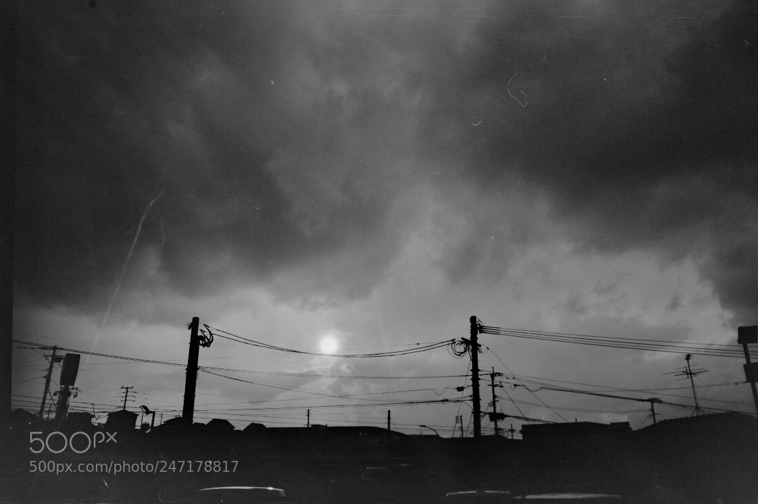 Nikon D850 sample photo. Untitled photography