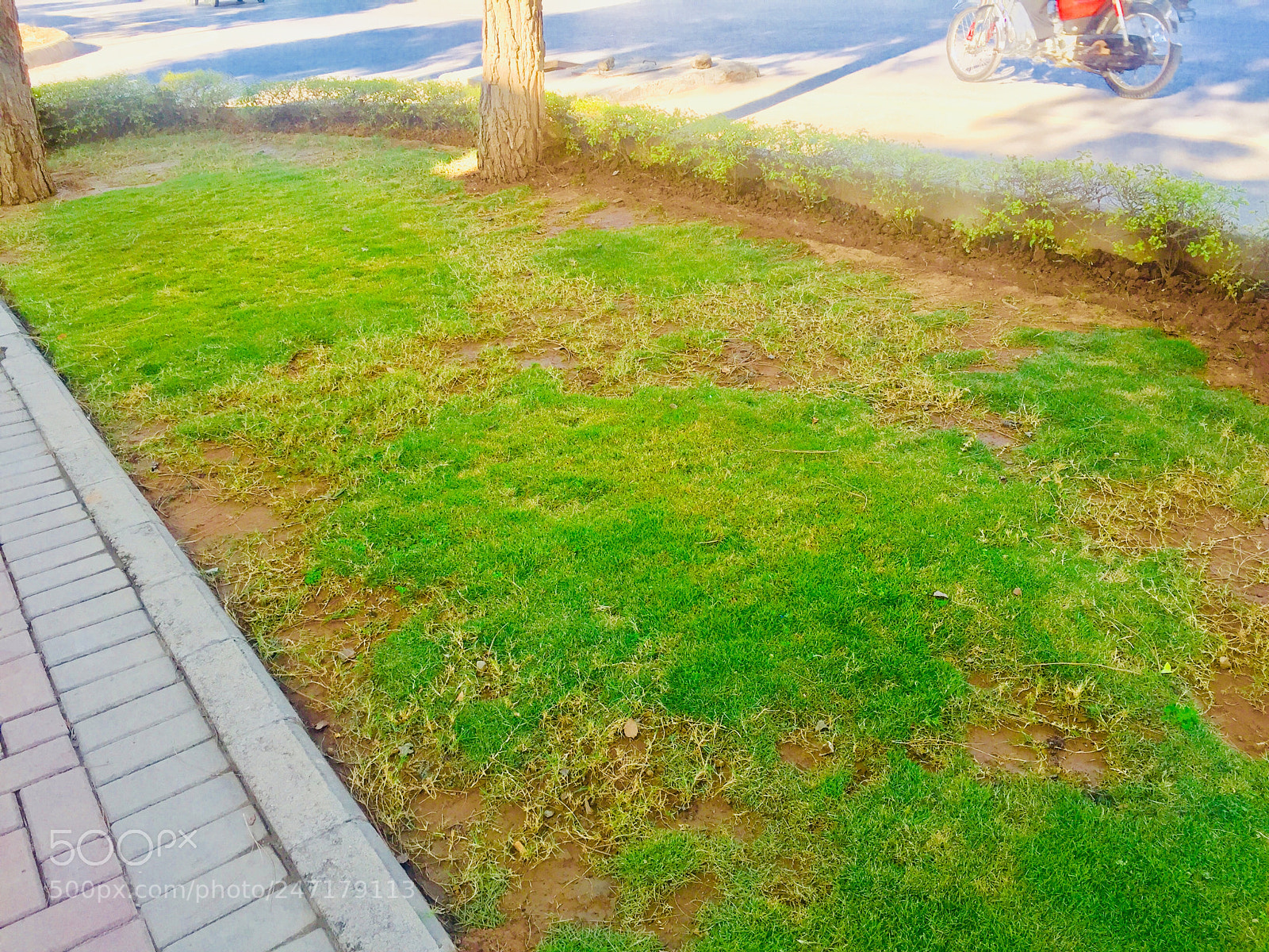 Apple iPhone 6 sample photo. Untitled photography