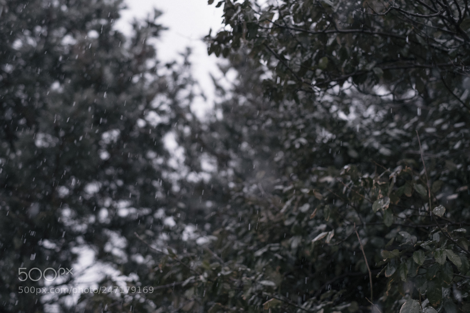 Fujifilm X-Pro2 sample photo. Untitled photography
