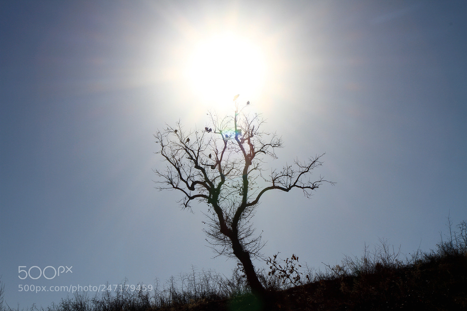 Canon EOS 7D sample photo. The light of the photography