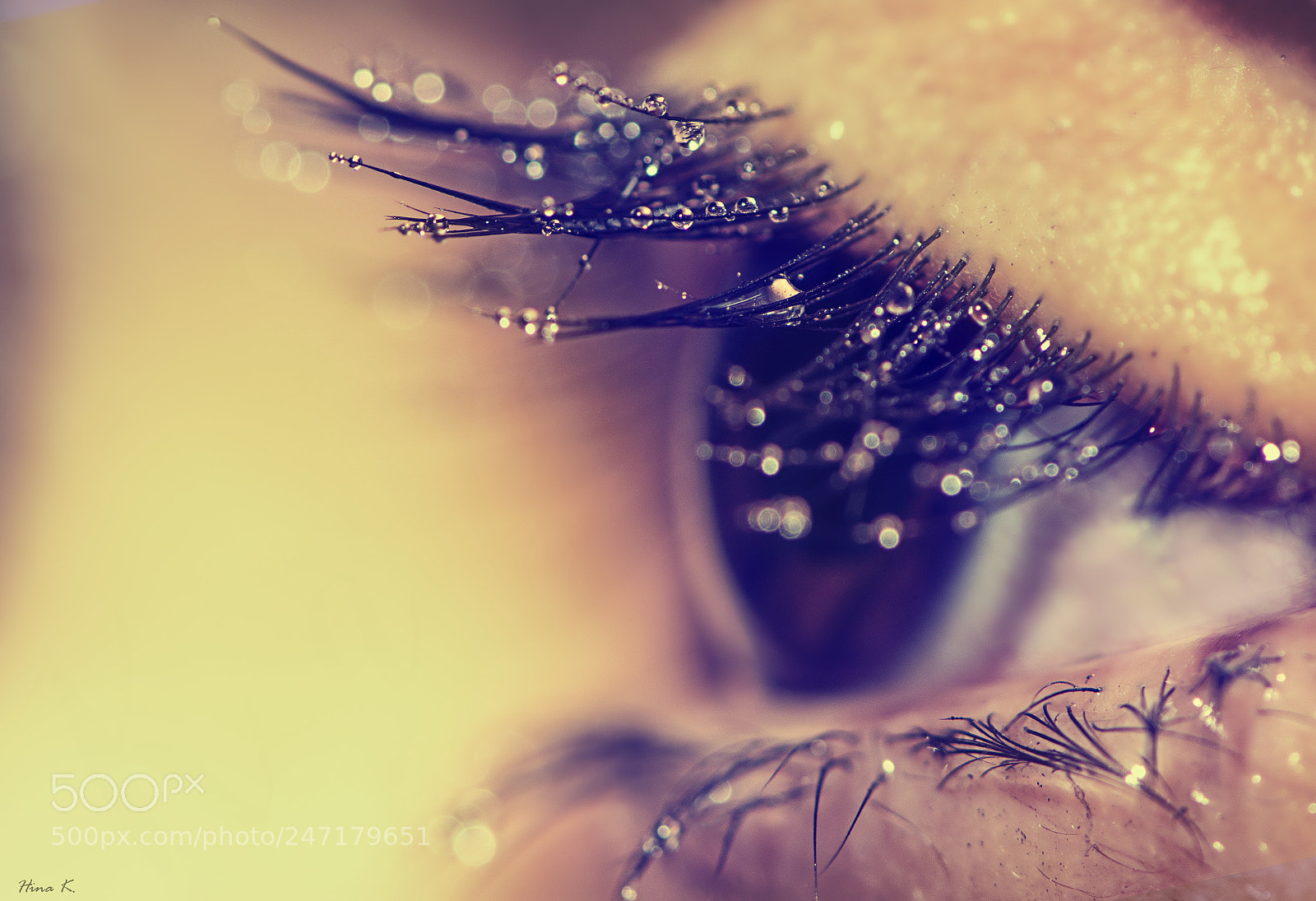 Nikon D500 sample photo. Misty eyes photography