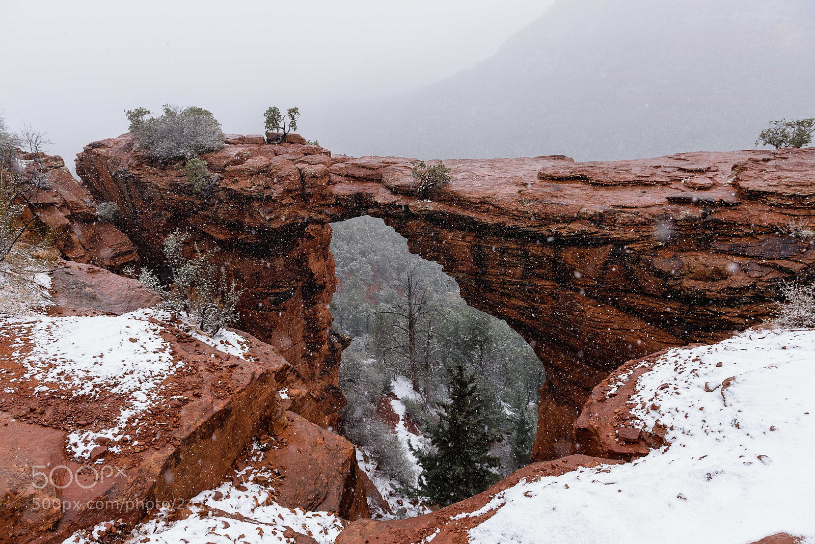 Nikon D810 sample photo. Devil's bridge photography