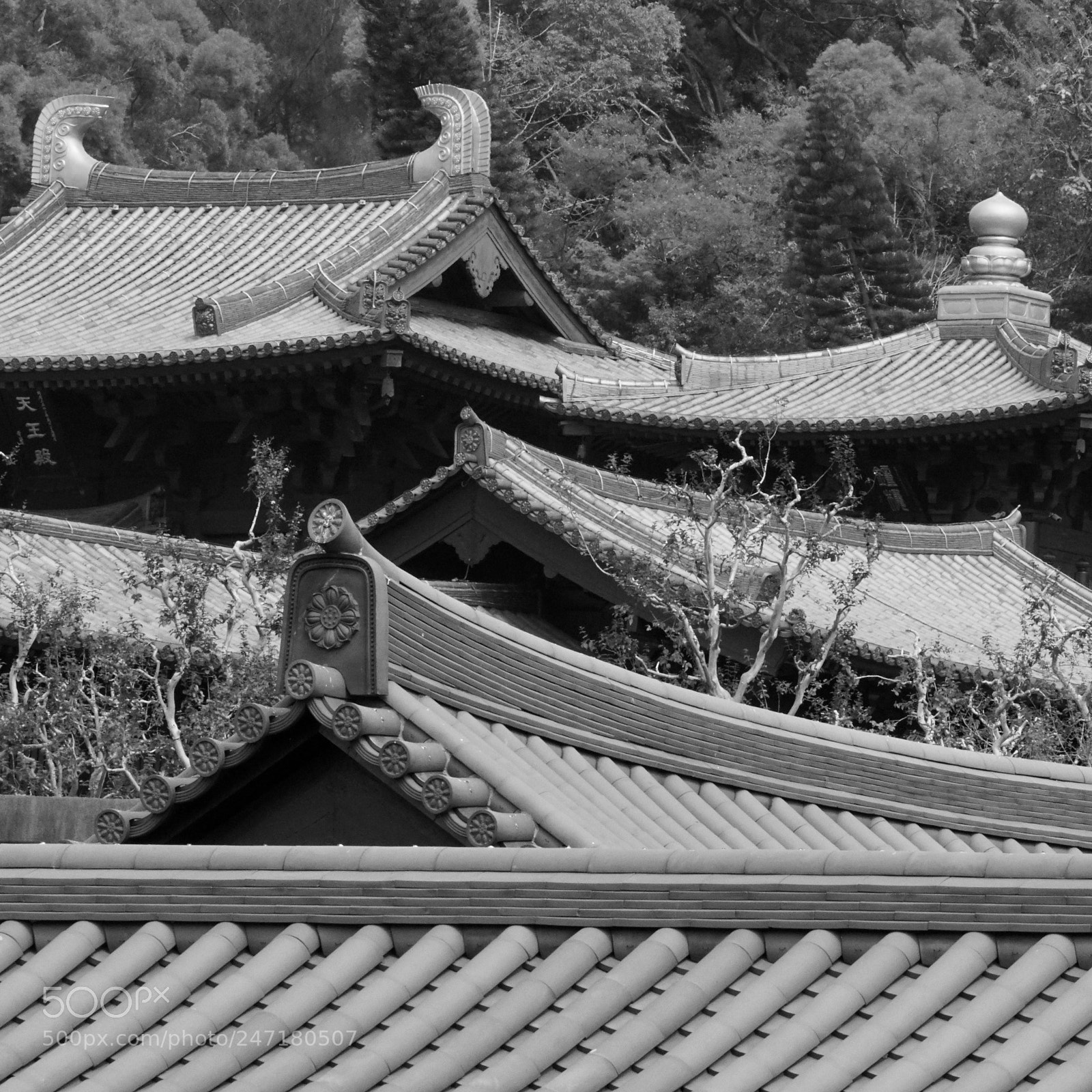 Sony a6300 sample photo. Temple in town photography