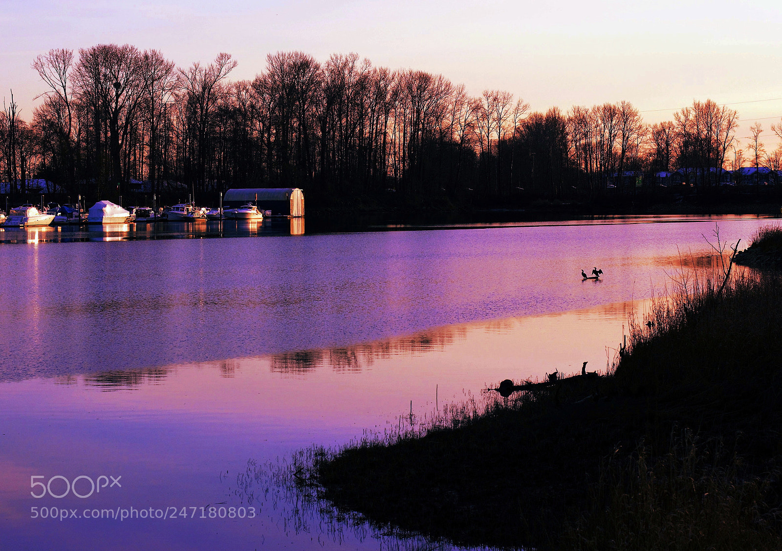 Canon EOS 60D sample photo. Sunset -- 夜前 photography