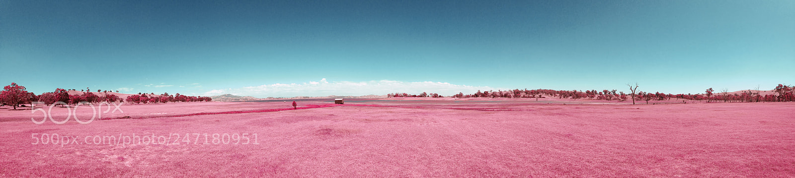 Apple iPhone 5c sample photo. Lake hume photography