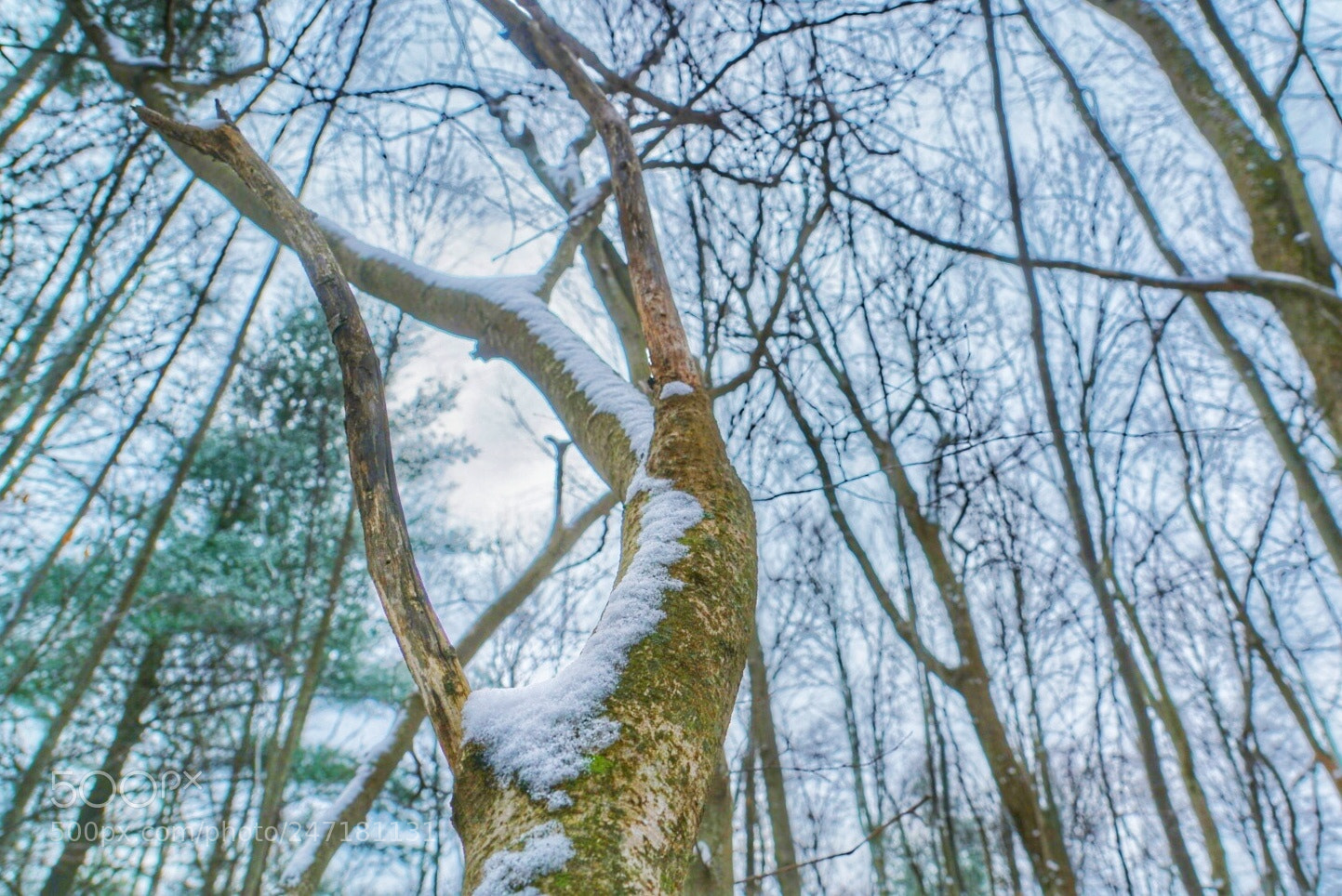 Sony a7R II sample photo. Untitled photography