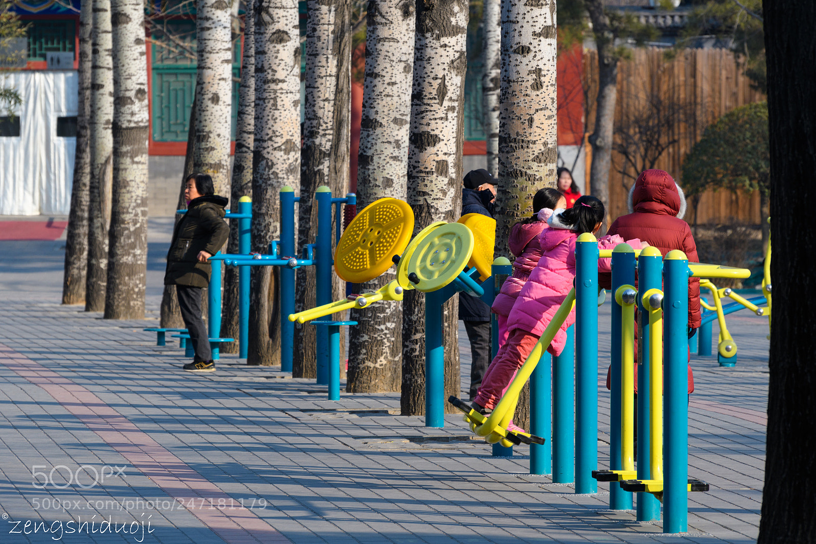 Nikon D500 sample photo. 锻炼 photography
