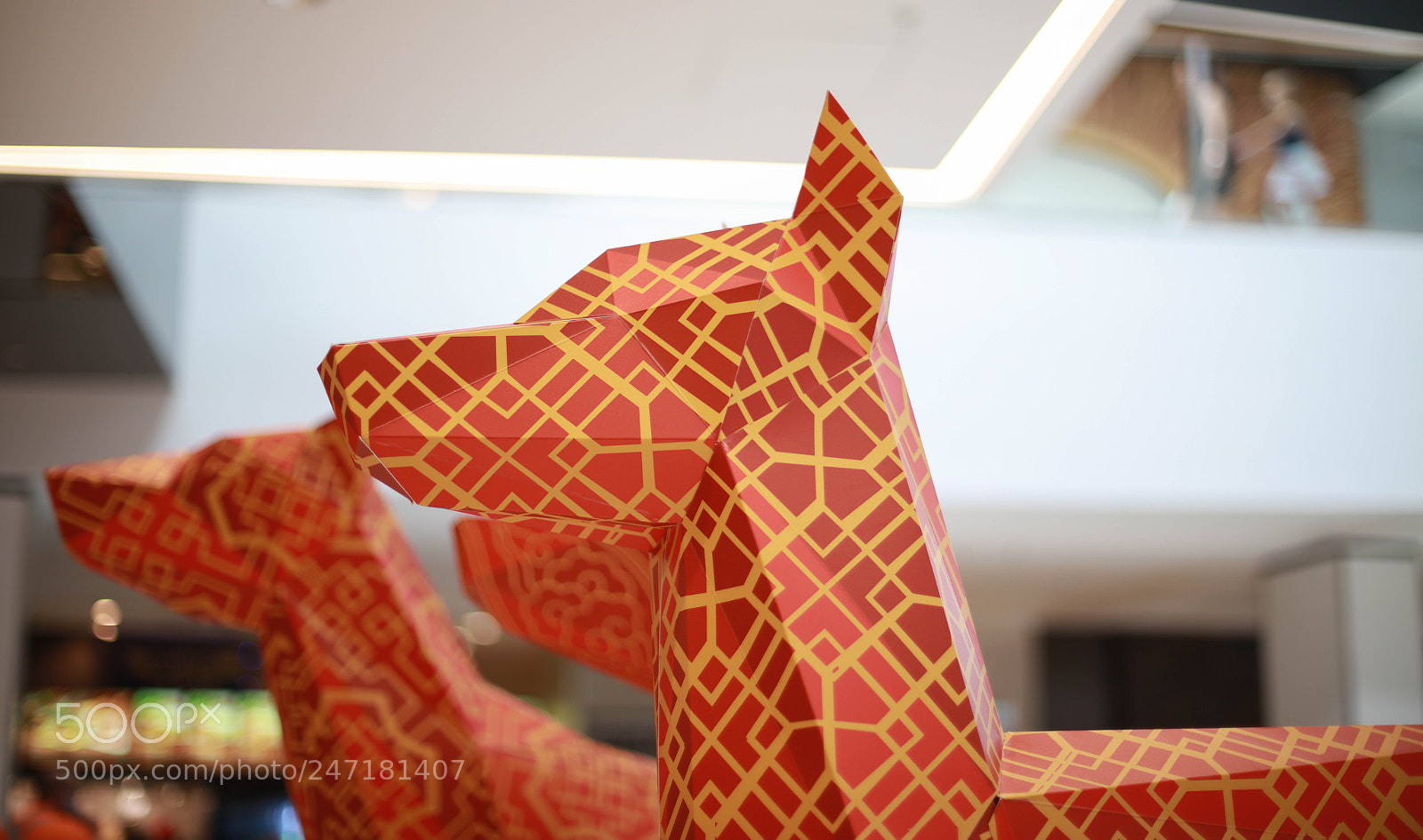 Canon EOS 5DS sample photo. Dog photography
