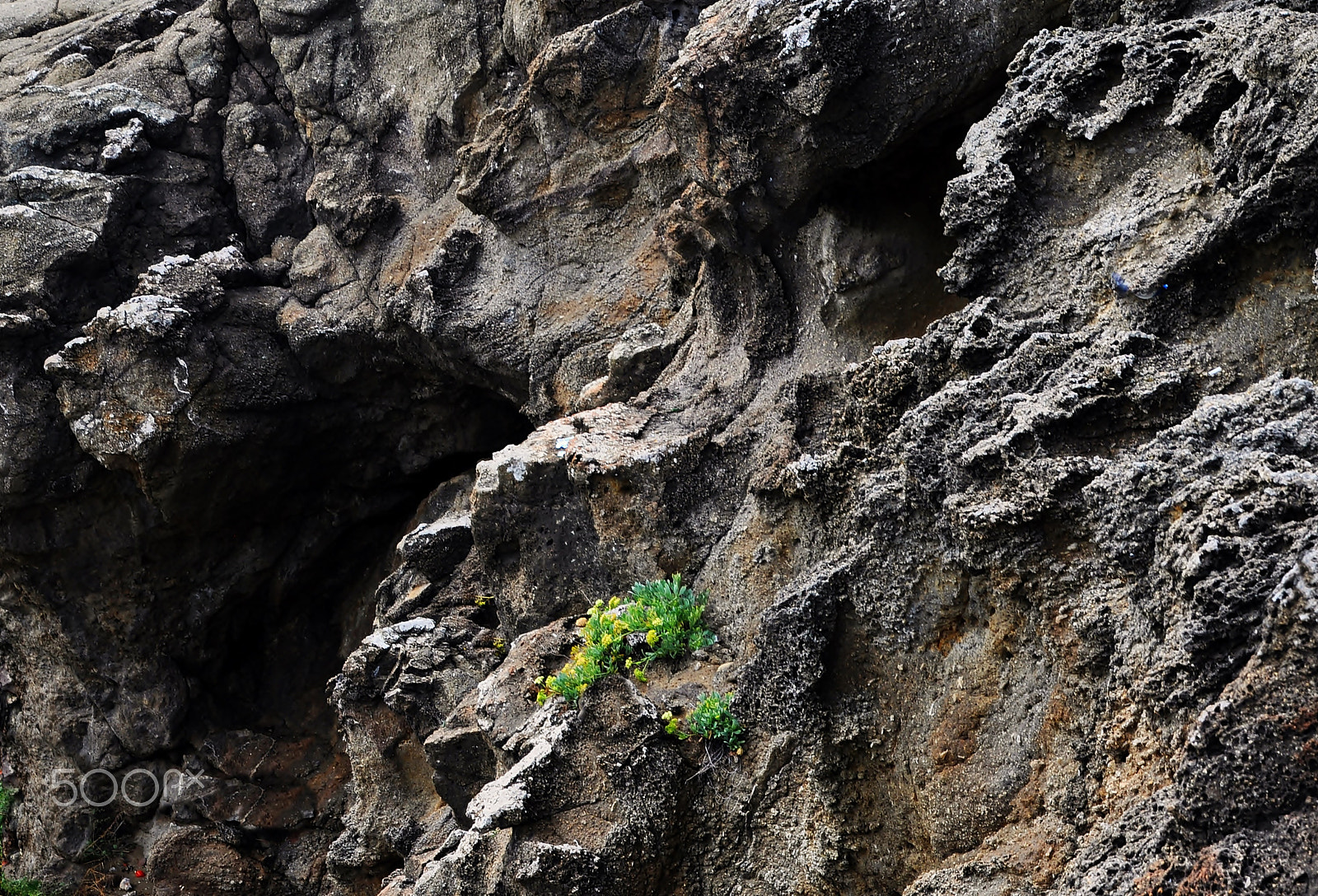 Nikon D5000 sample photo. ** photography