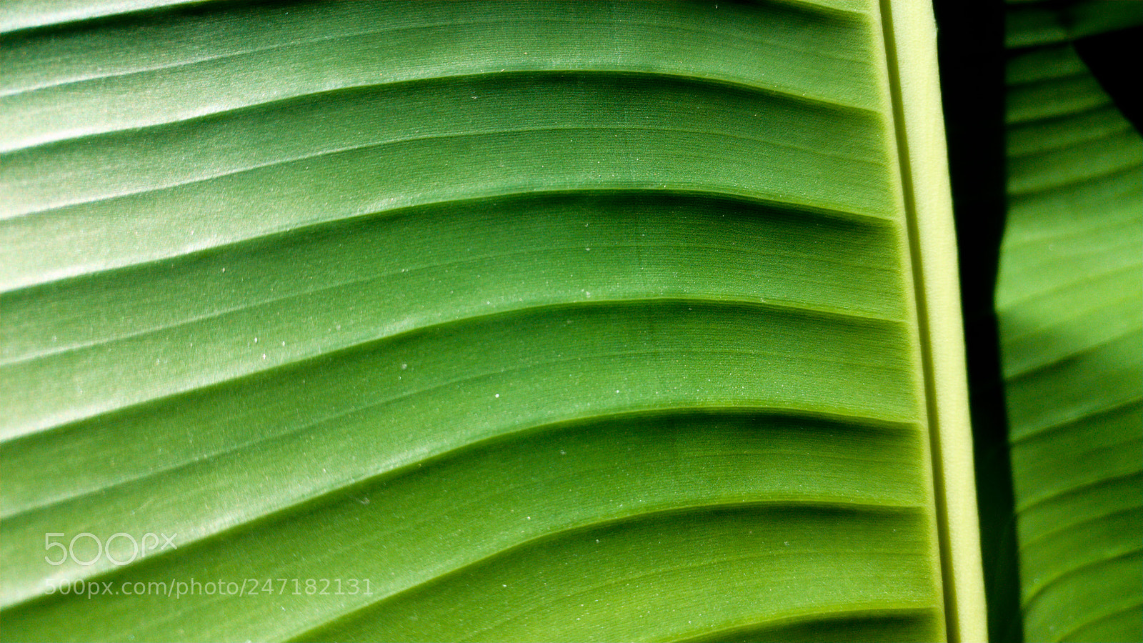 LG G5 sample photo. Pattern photography