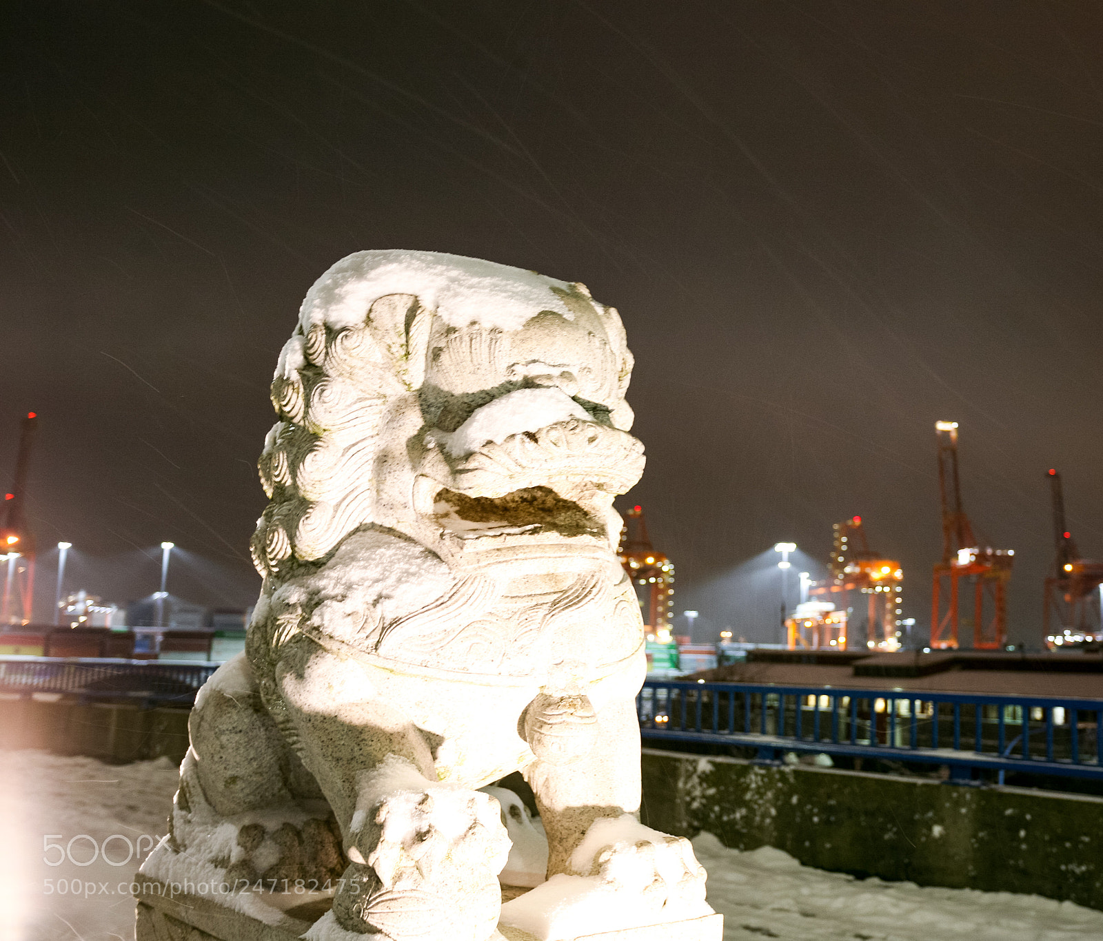 Canon EOS 5D sample photo. Snowy chinese lion photography