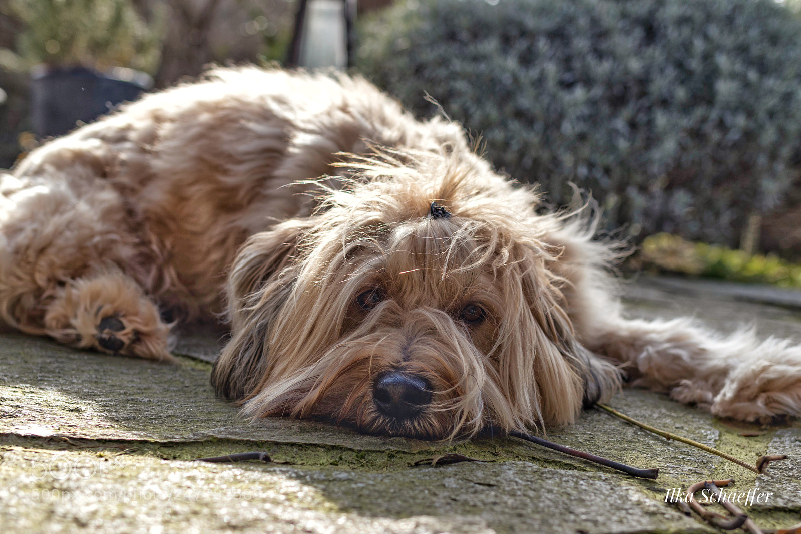 Canon EOS 80D sample photo. Weekend  photography