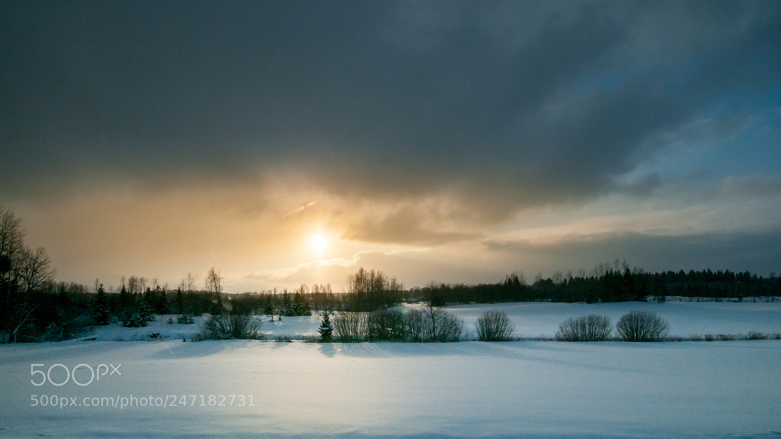 Nikon D300 sample photo. Wintersunset photography