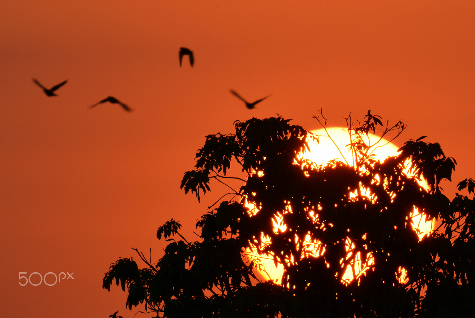 Nikon D5200 sample photo. Evening sky photography