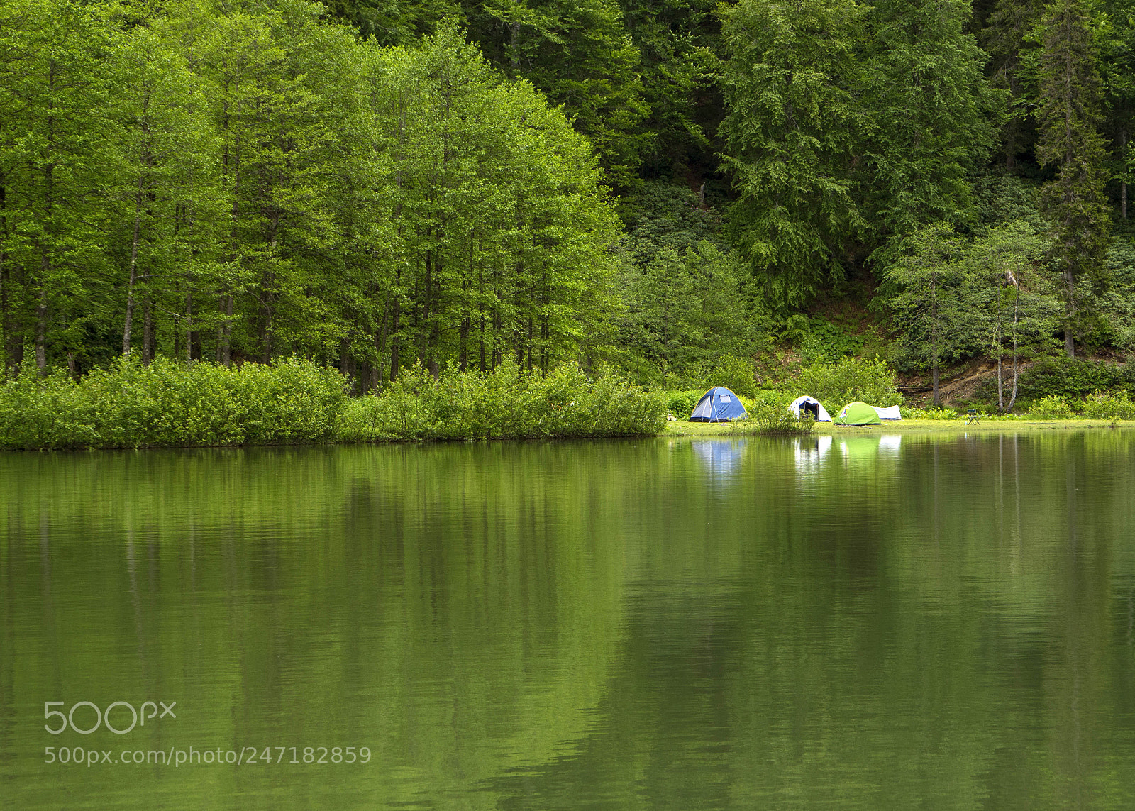 Sony a7 sample photo. Artvin maçahel photography