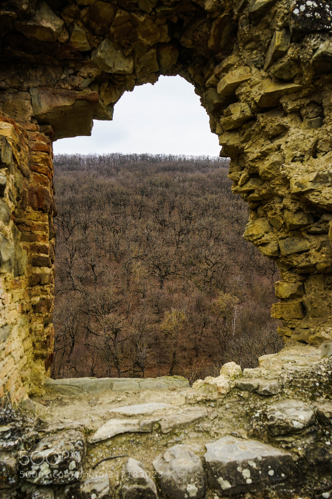 Sony a7 sample photo. Travel around georgia photography
