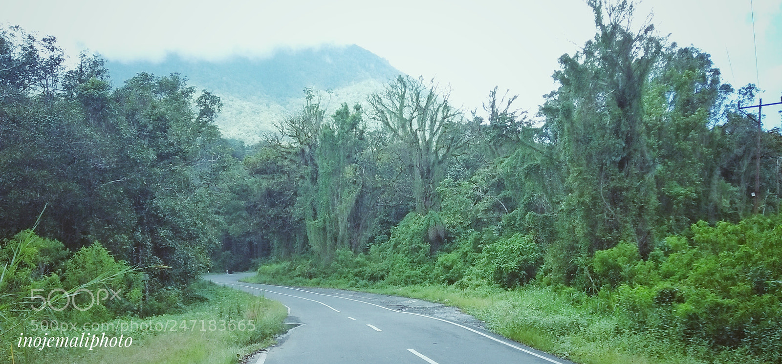 OPPO A37fw-International sample photo. On the road again photography