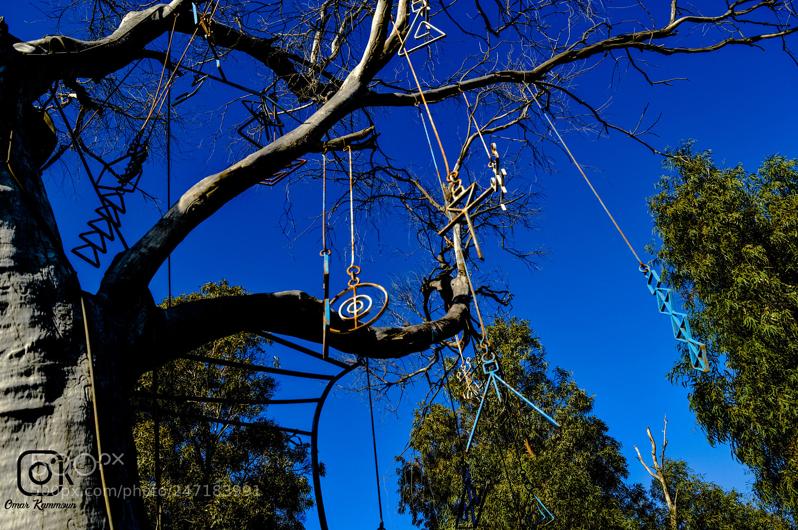Nikon D3200 sample photo. Art photography