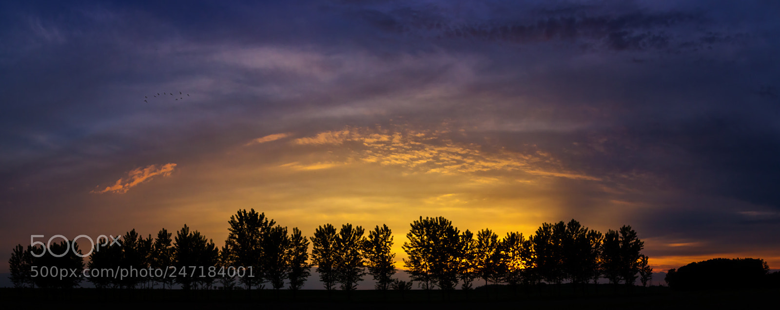 Canon EOS 600D (Rebel EOS T3i / EOS Kiss X5) sample photo. A twilight and some photography