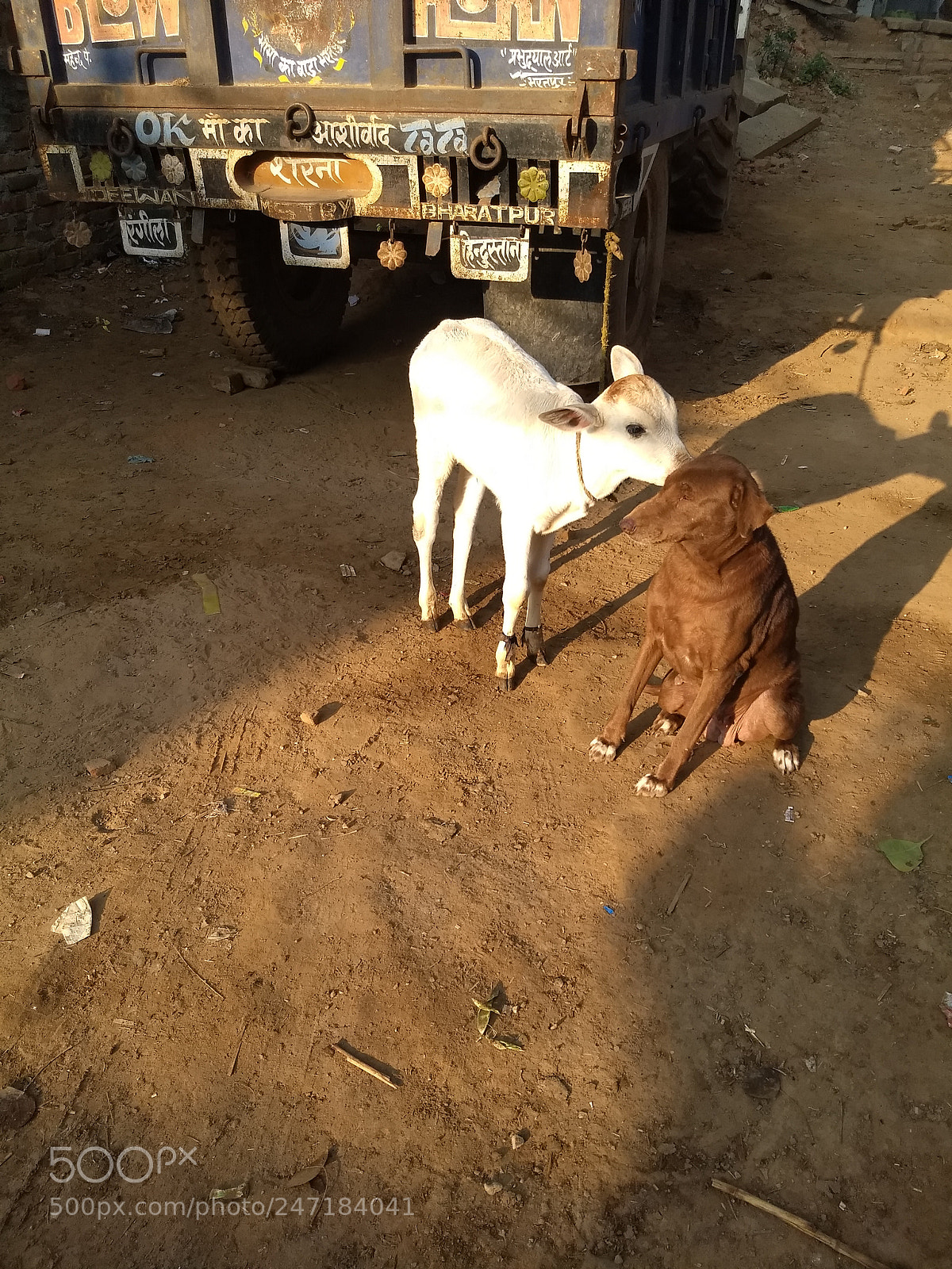 Motorola Moto G (5) Plus sample photo. Untitled photography