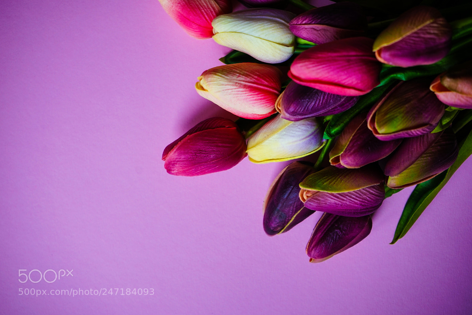 Sony a7 sample photo. Spring floral concept photography