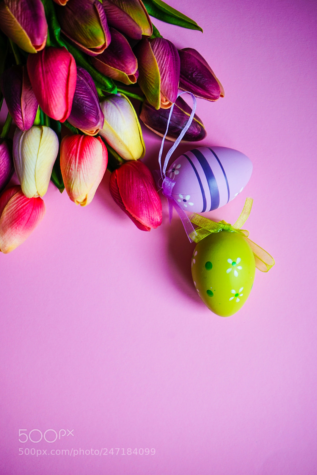 Sony a7 sample photo. Spring floral concept photography